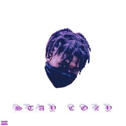Cover of Stay Cozy