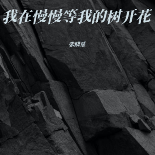我在慢慢等我的树开花