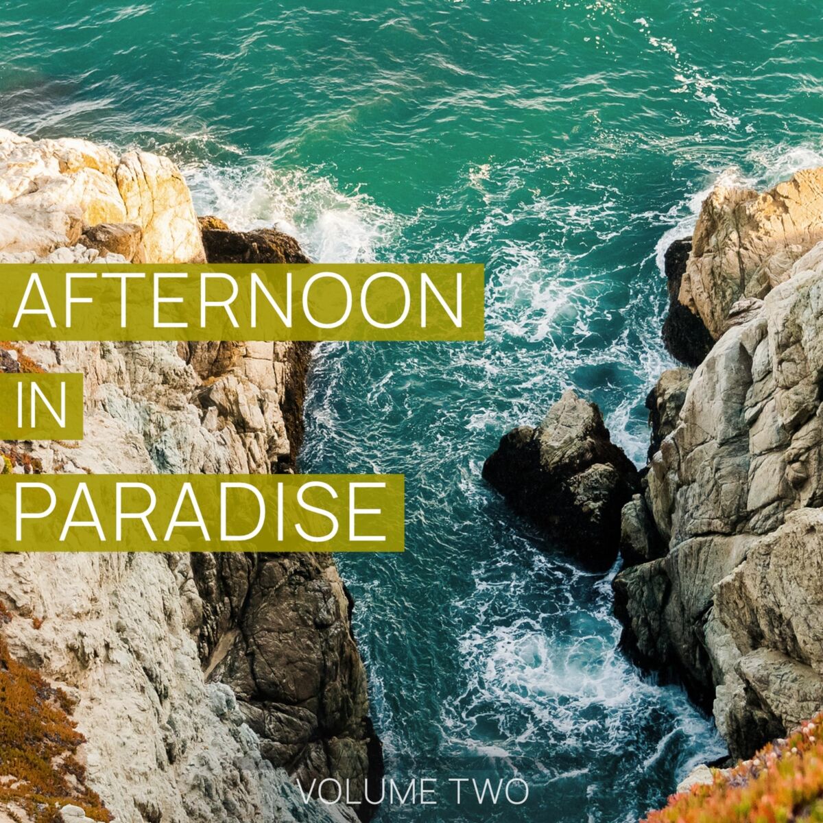 Album cover of Afternoon in Paradise, Vol. 2