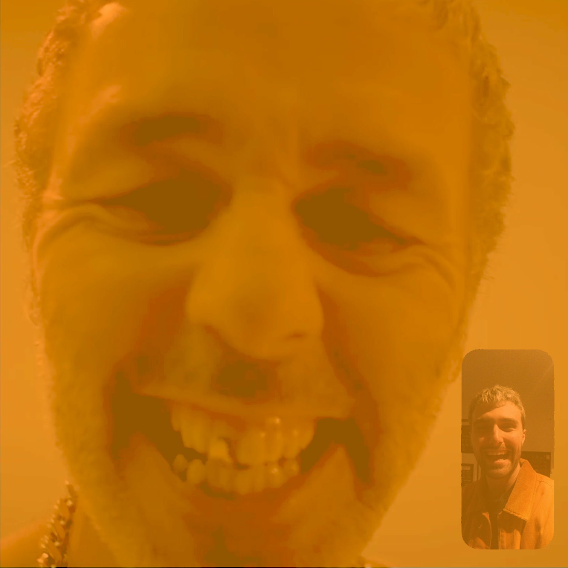 Album picture of Baxter (these are my friends)