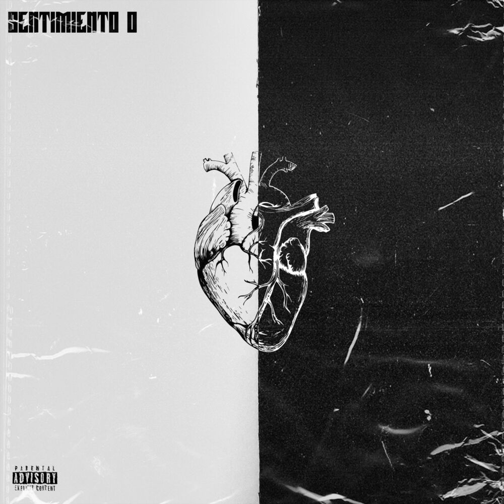 Picture of SENTIMIENTO 0