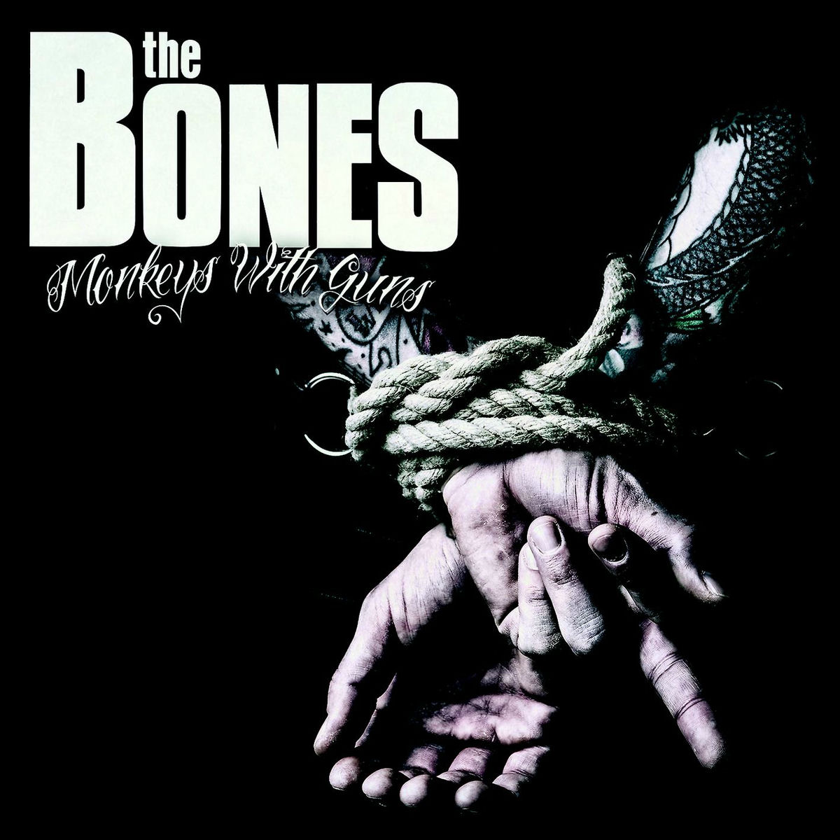 Album cover of Monkeys With Guns