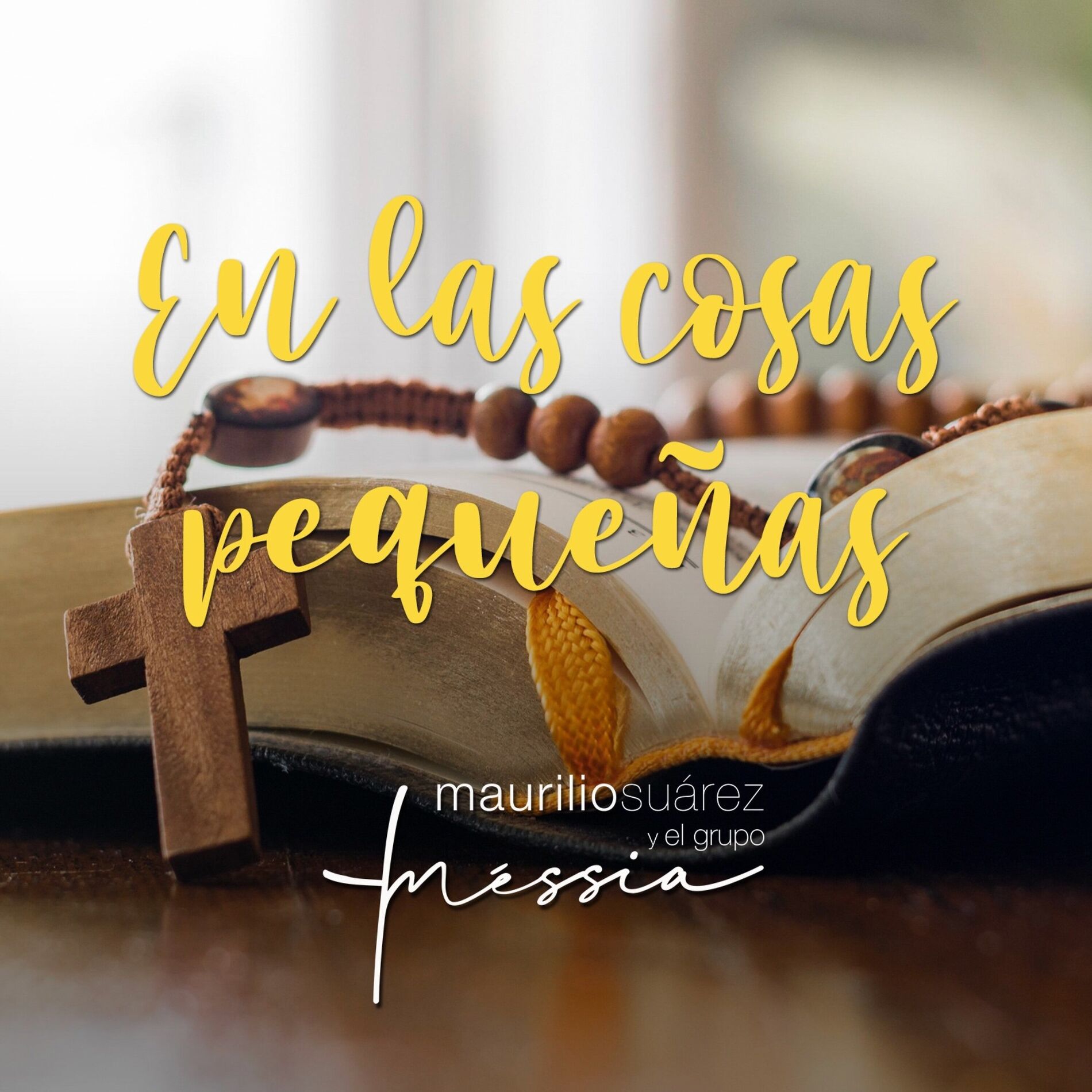 Album cover of En las Cosas Pequeñas
