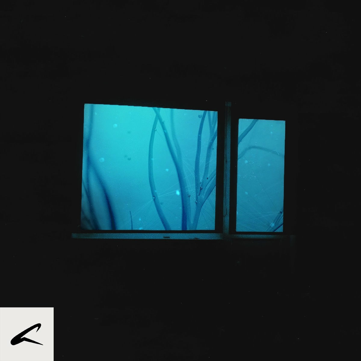 Album cover of Eclectica