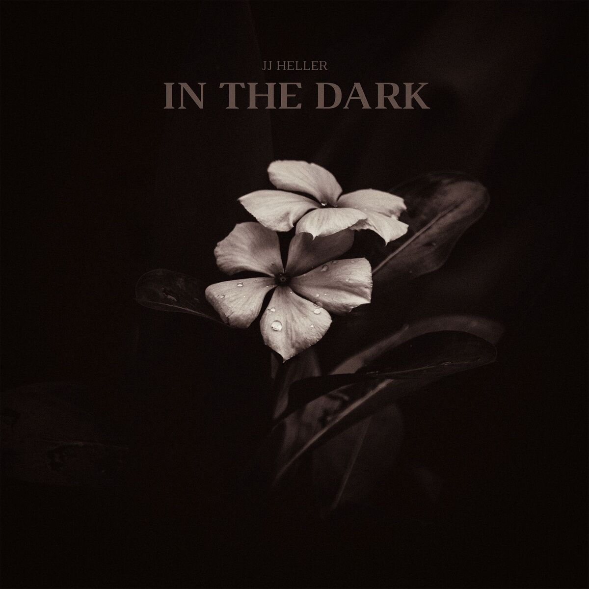 Album cover of In the Dark