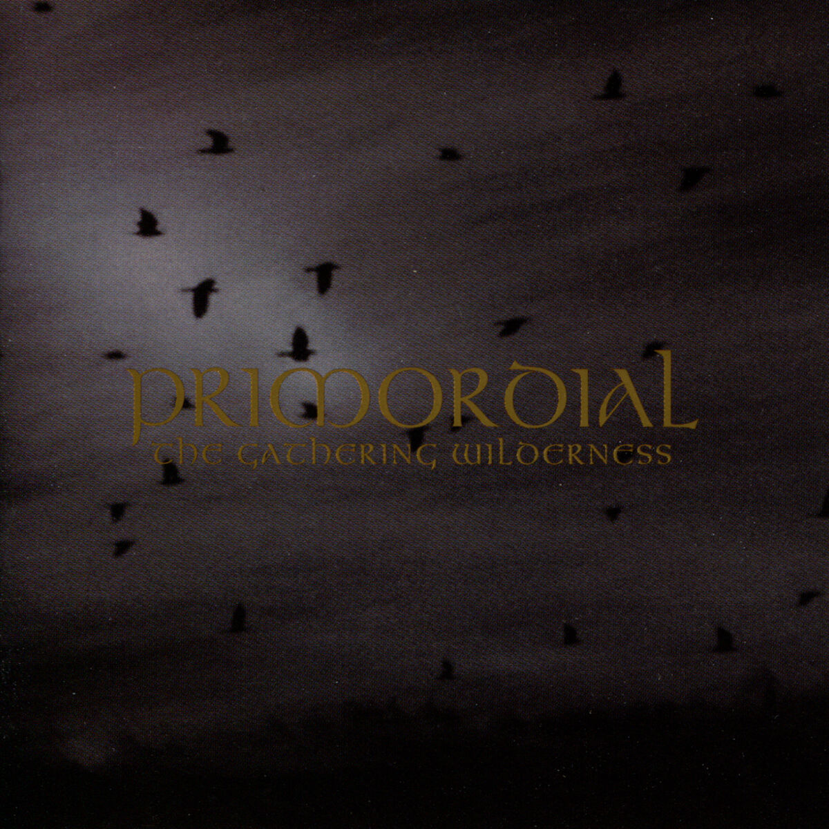 Album cover of End Of All Times (Martyrs Fire)