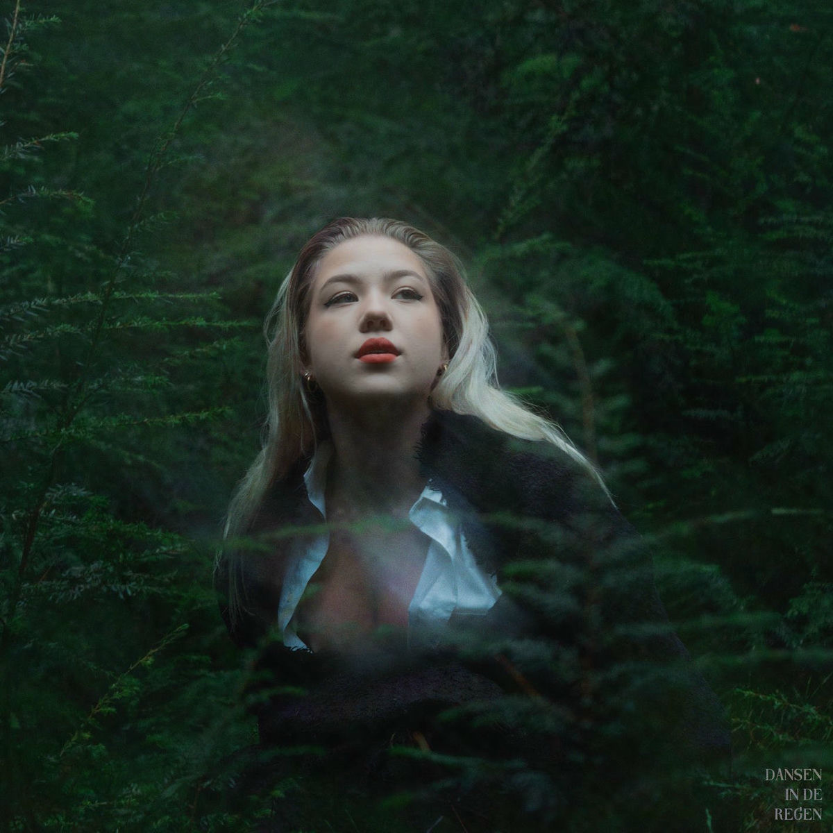 Album cover of Dansen In De Regen
