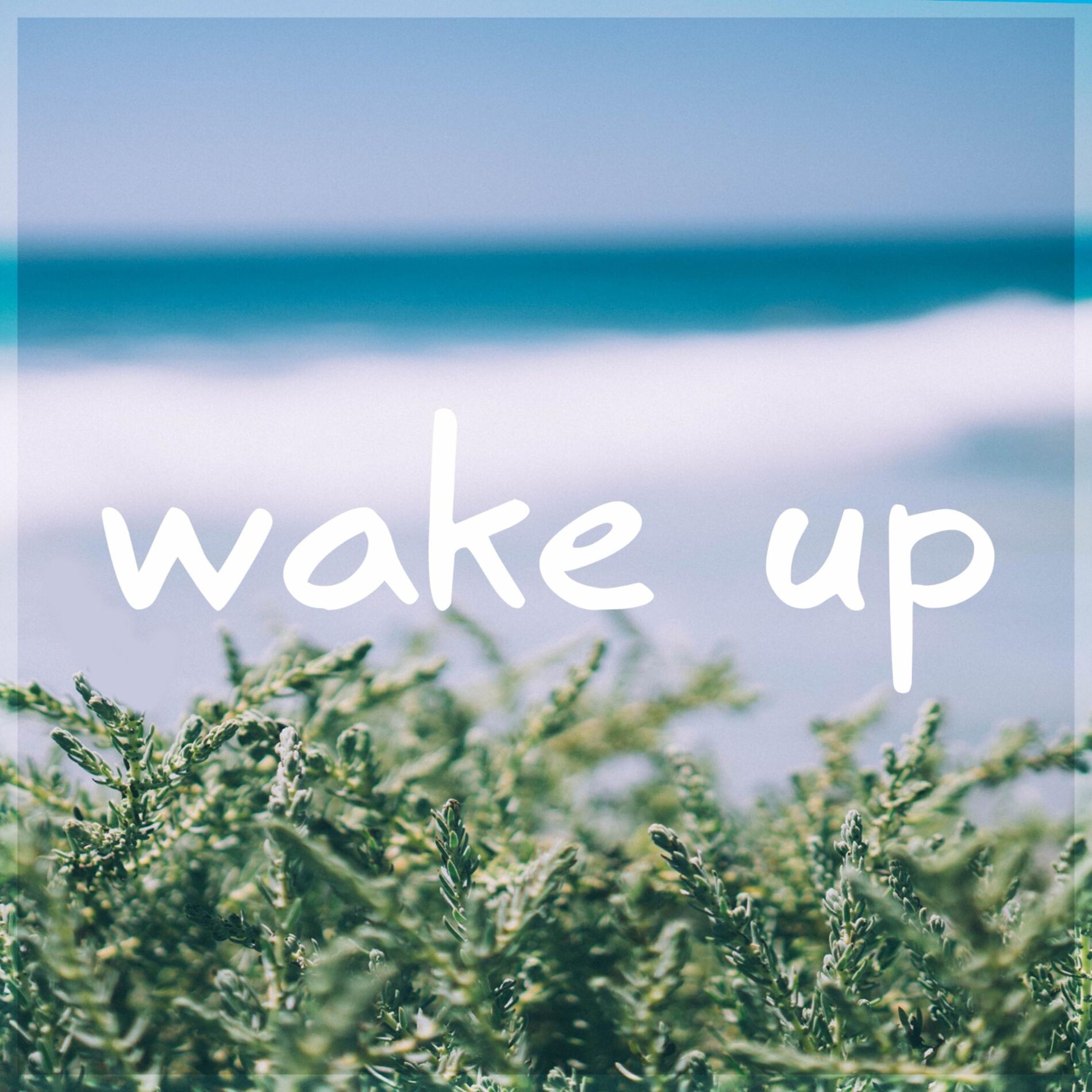 Album cover of Wake Up