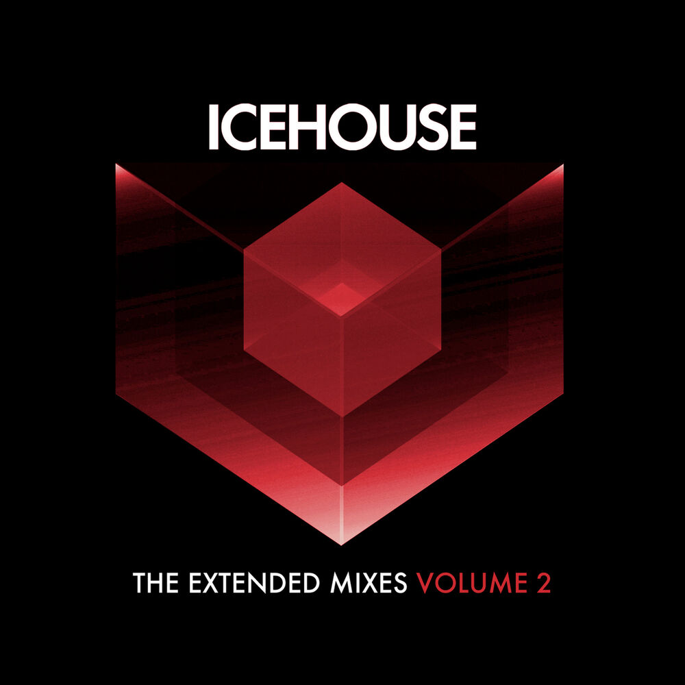 Picture of The Extended Mixes Vol. 2