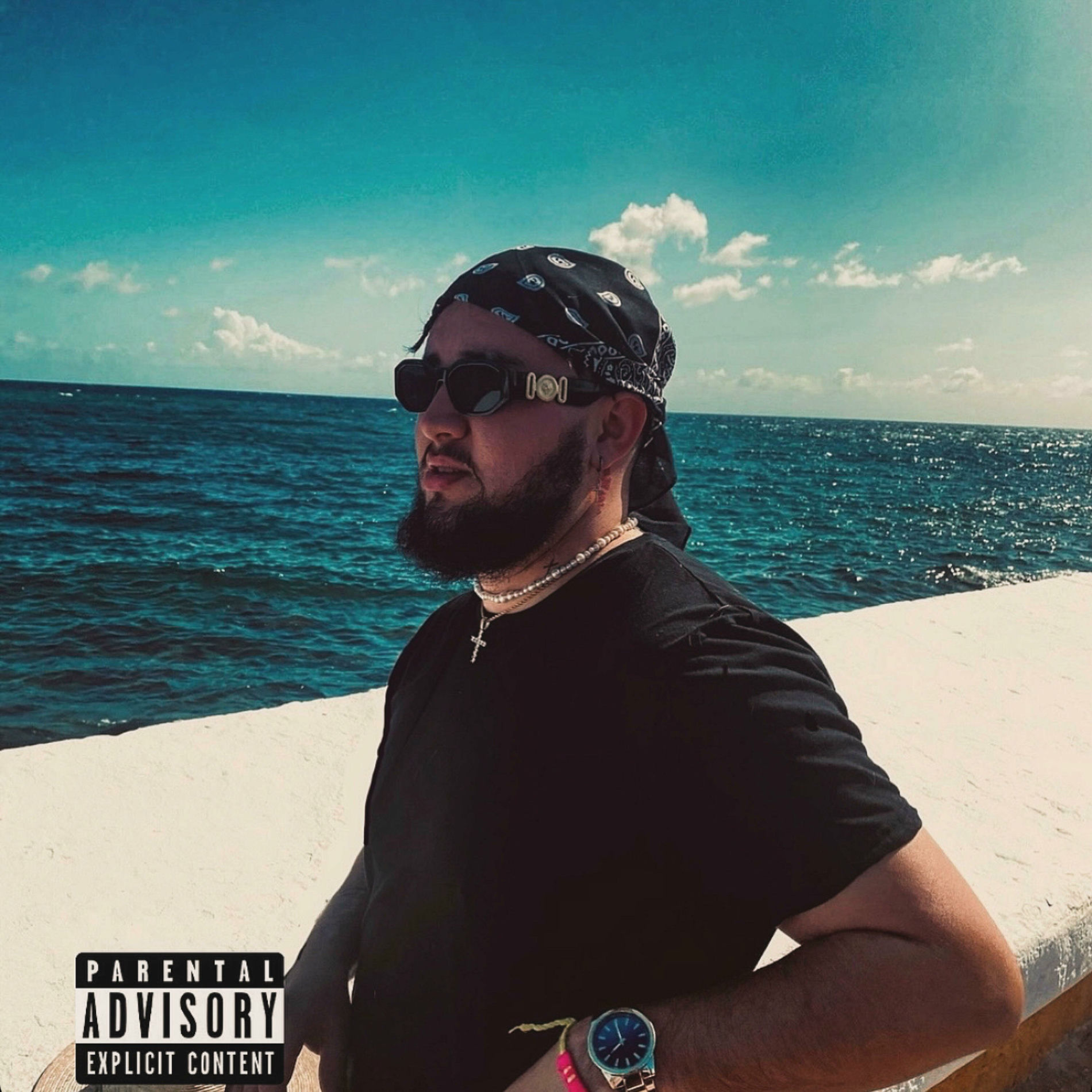 Album cover of The Summer Collection
