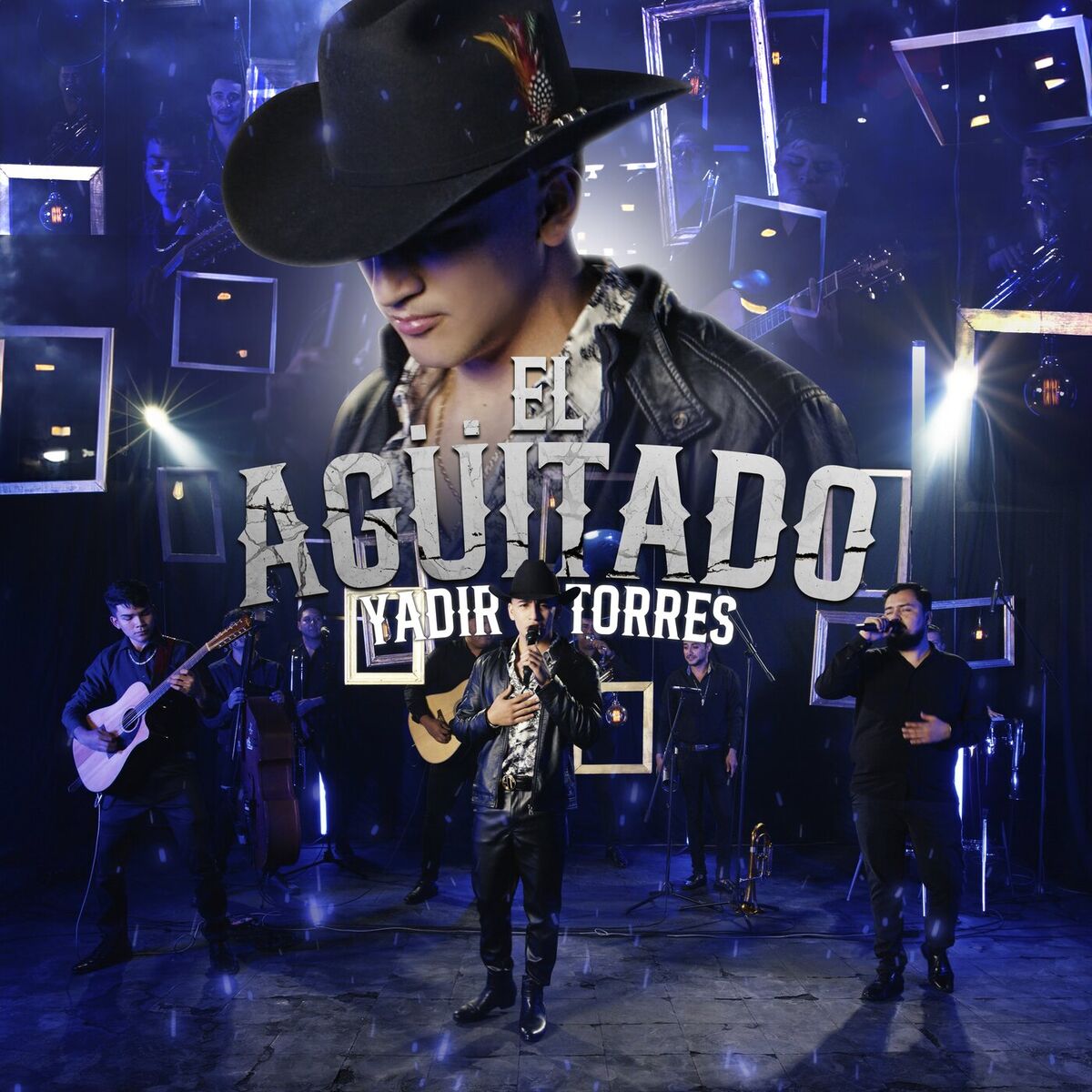 Album cover of El Agüitado (En Vivo)