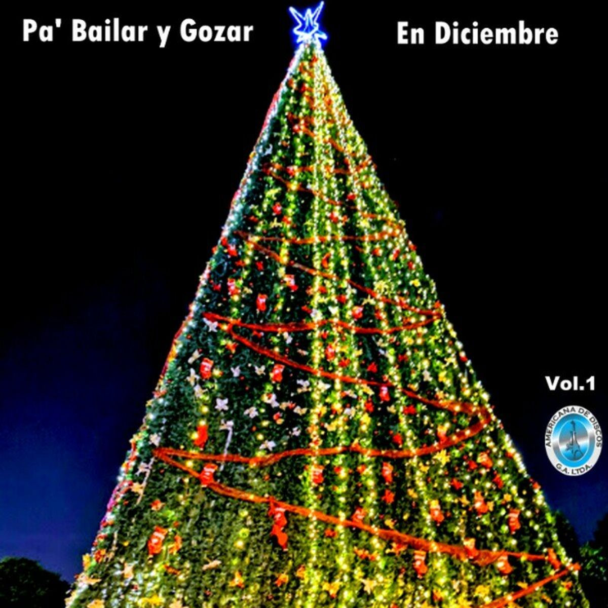 Album cover of Pa' Bailar y Gozar en Diciembre, Vol. 1
