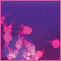 Cover of Moogie