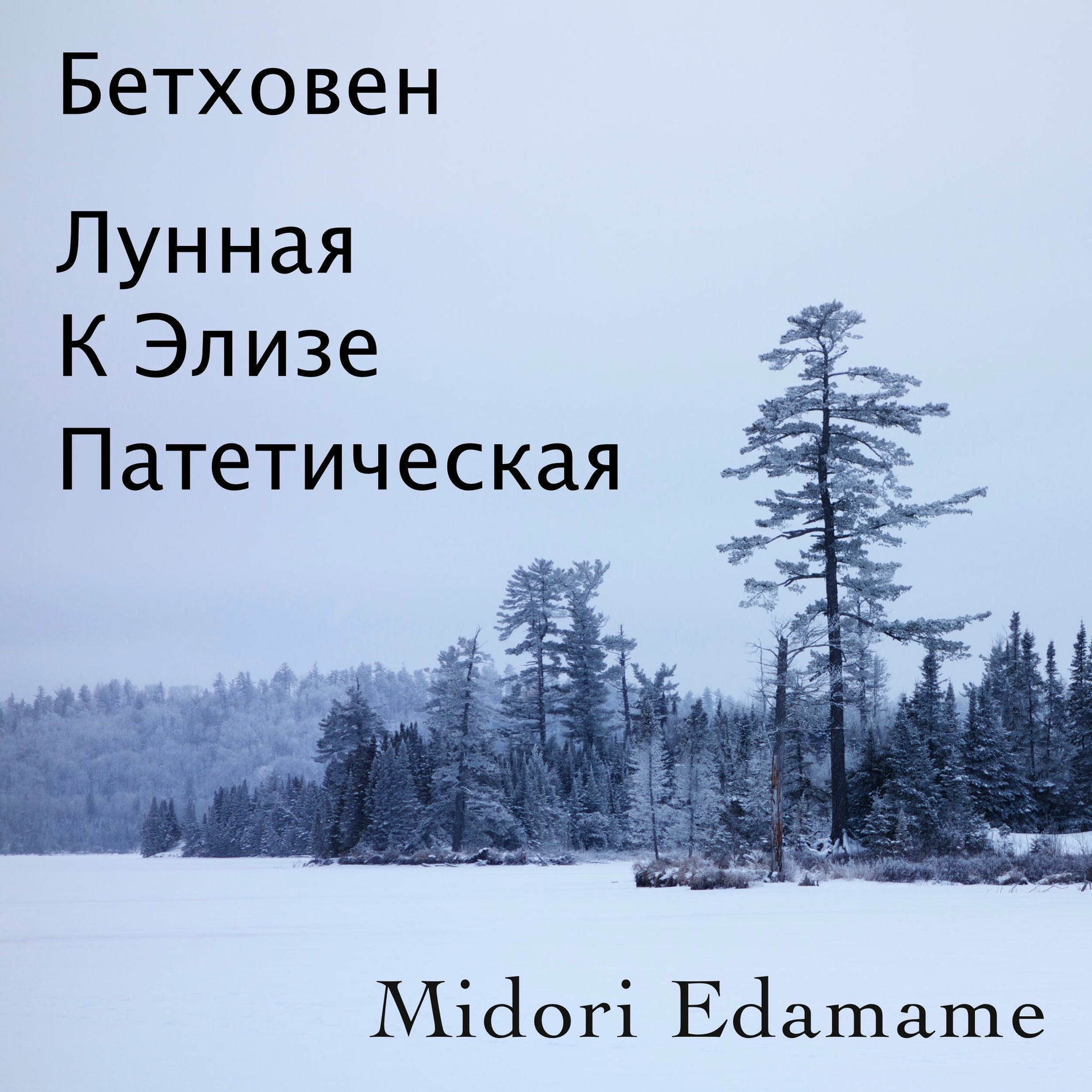 Album cover of Бетховен: Соната Для Фортепиано № 8 Adagio Cantabile «Патетическая»