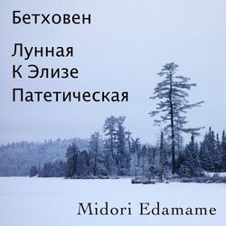 Cover of Бетховен: Лунная / К Элизе / Патетическая