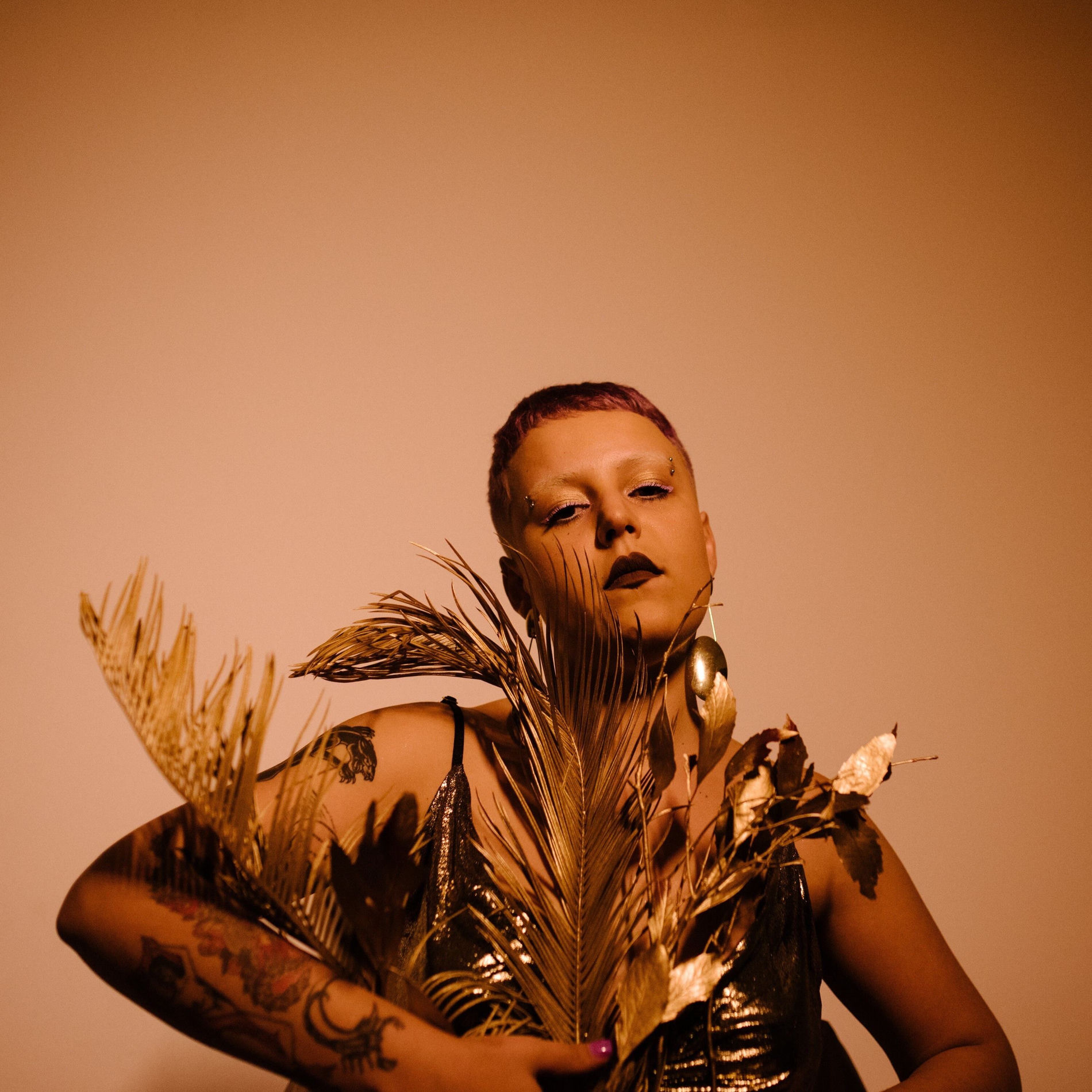 Album cover of Ametista