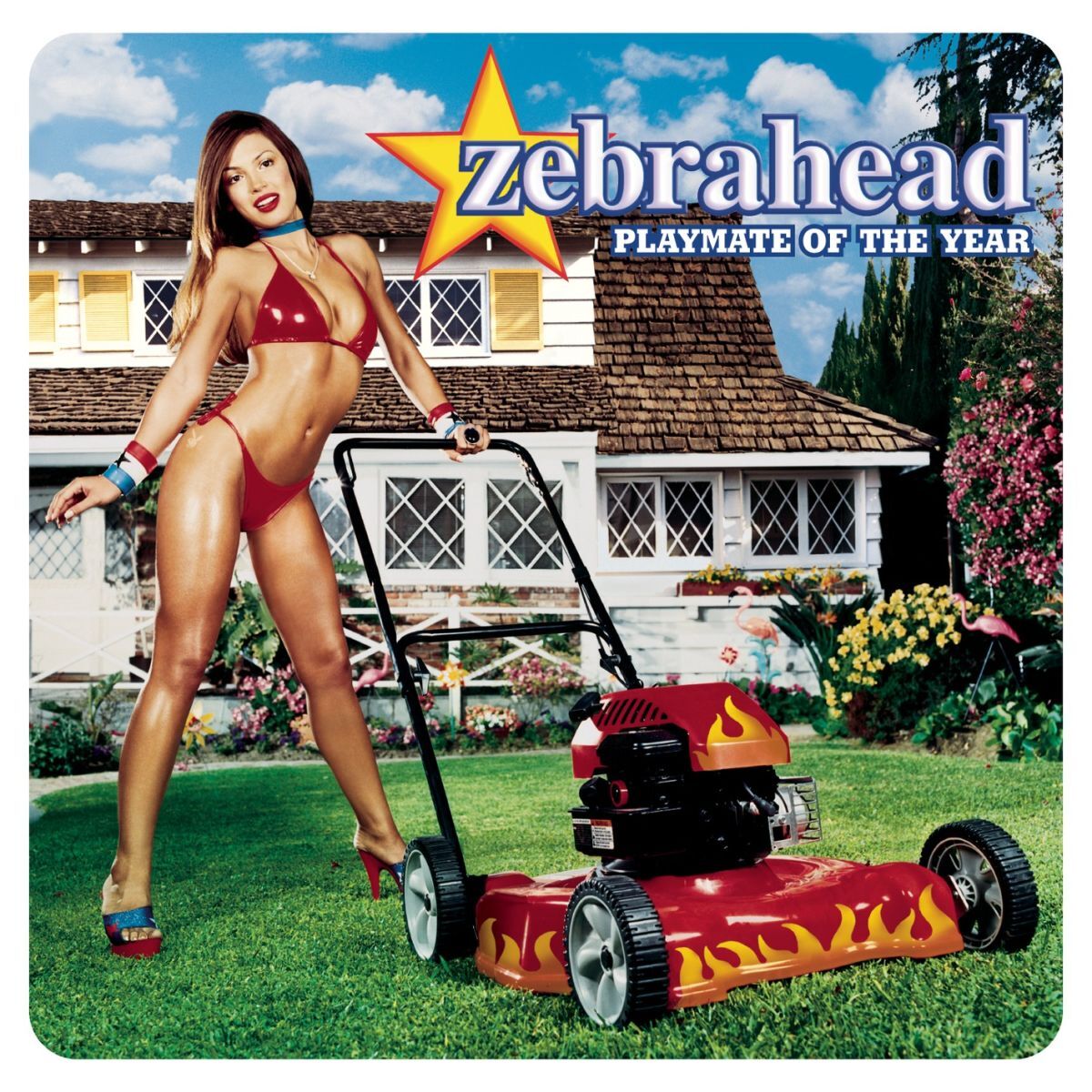 Album cover of Playmate Of The Year
