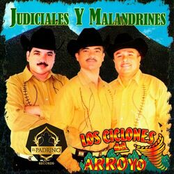 Cover of Judiciales Y Malandrines