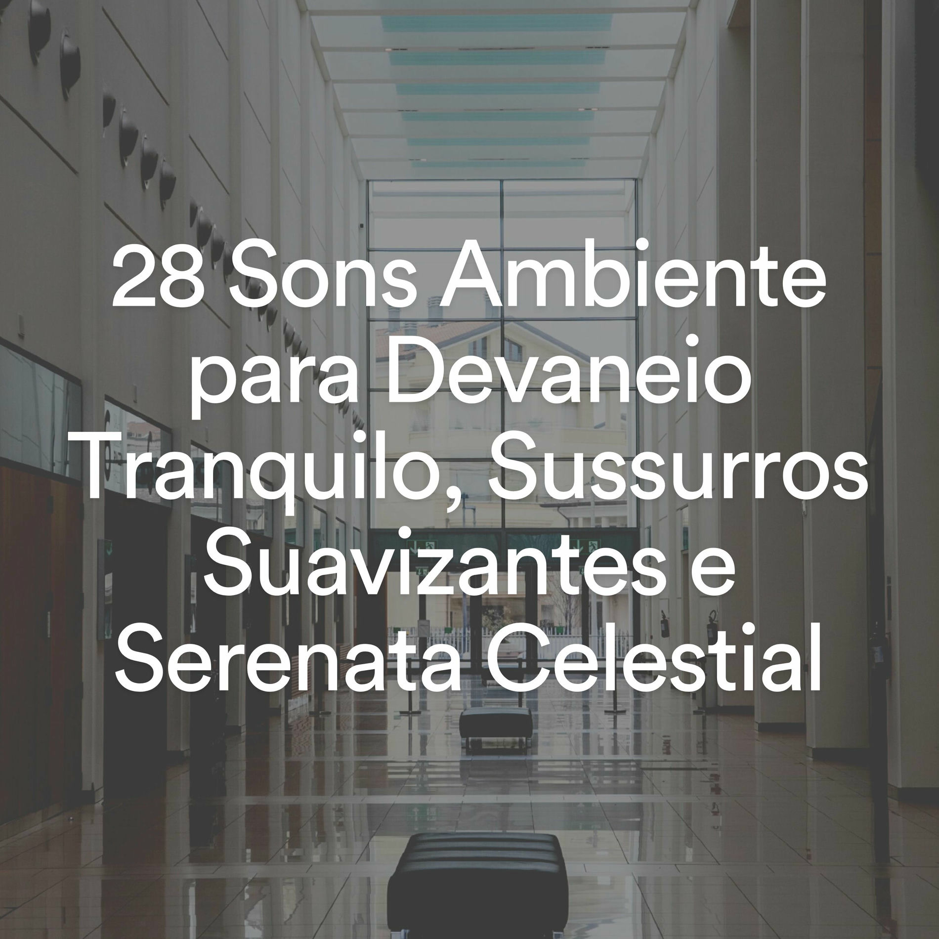 Album cover of 28 Sons Ambiente para Devaneio Tranquilo, Sussurros Suavizantes e Serenata Celestial