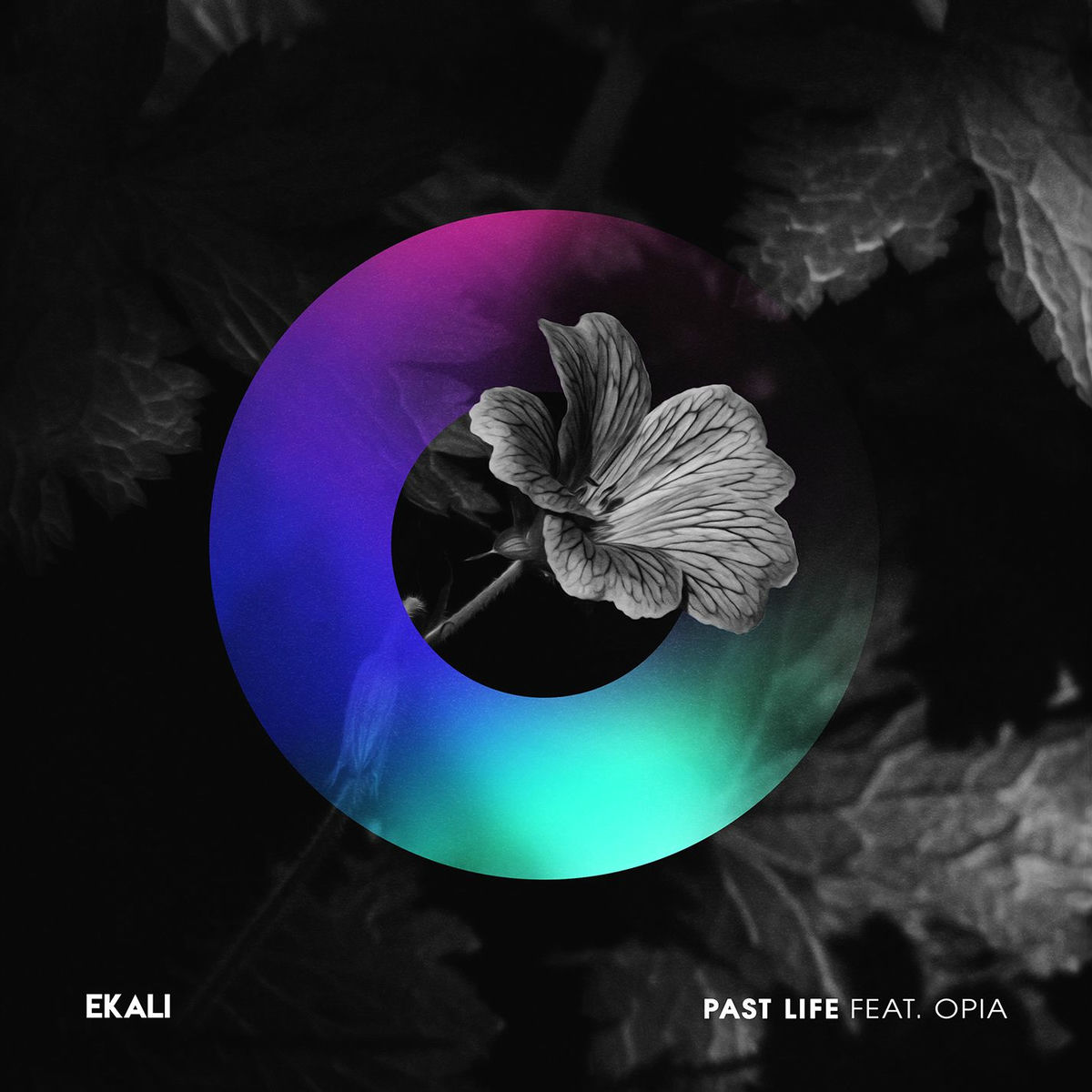 Album cover of Past Life (feat. Opia)