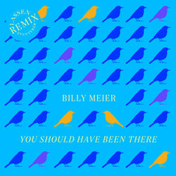 Cover of You Should Have Been There