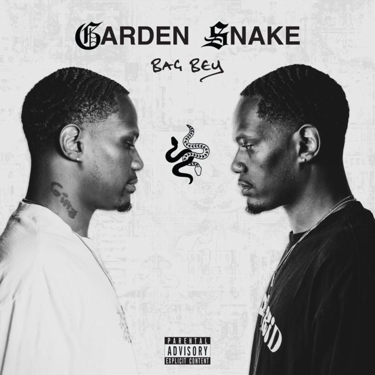 Album cover of Garden Snake