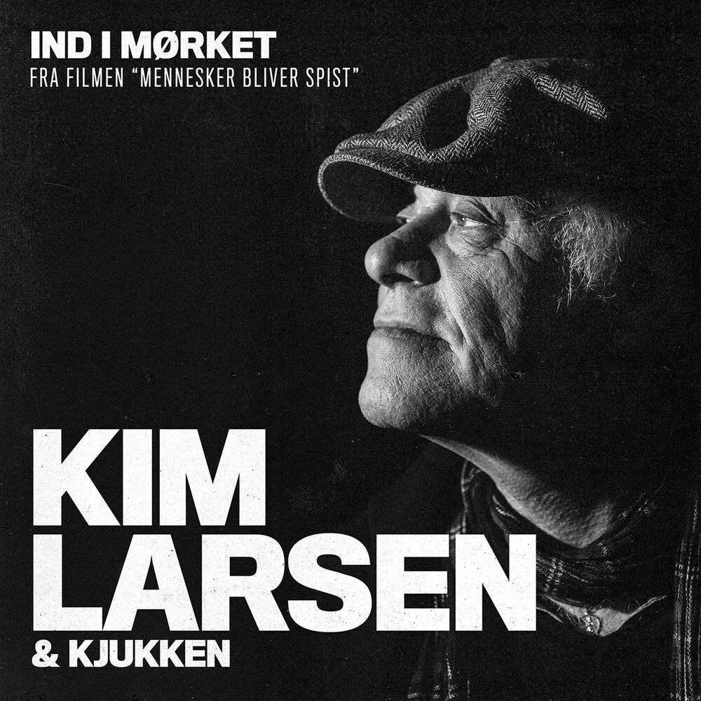 Picture of Ind I Mørket