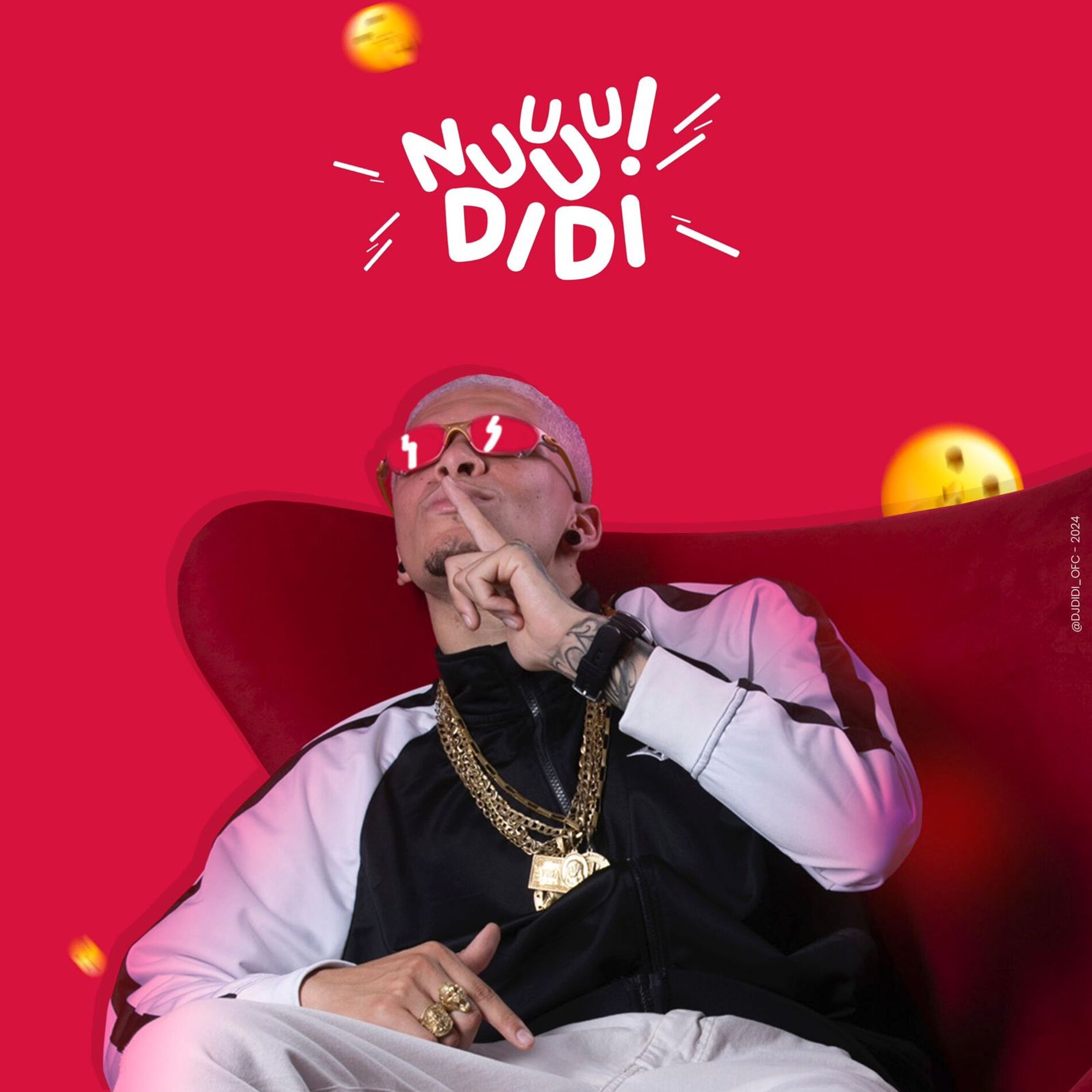 Album cover of Nuu Didi