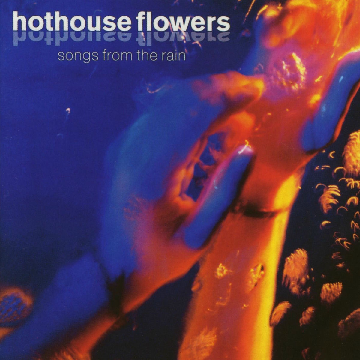 Album cover of Songs from the Rain