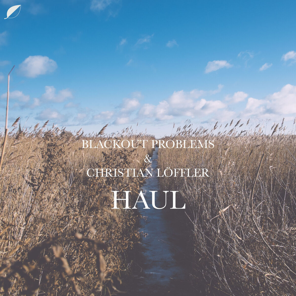 Album cover of Haul