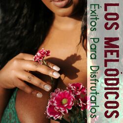 Cover of Éxitos Para Disfrutarlos