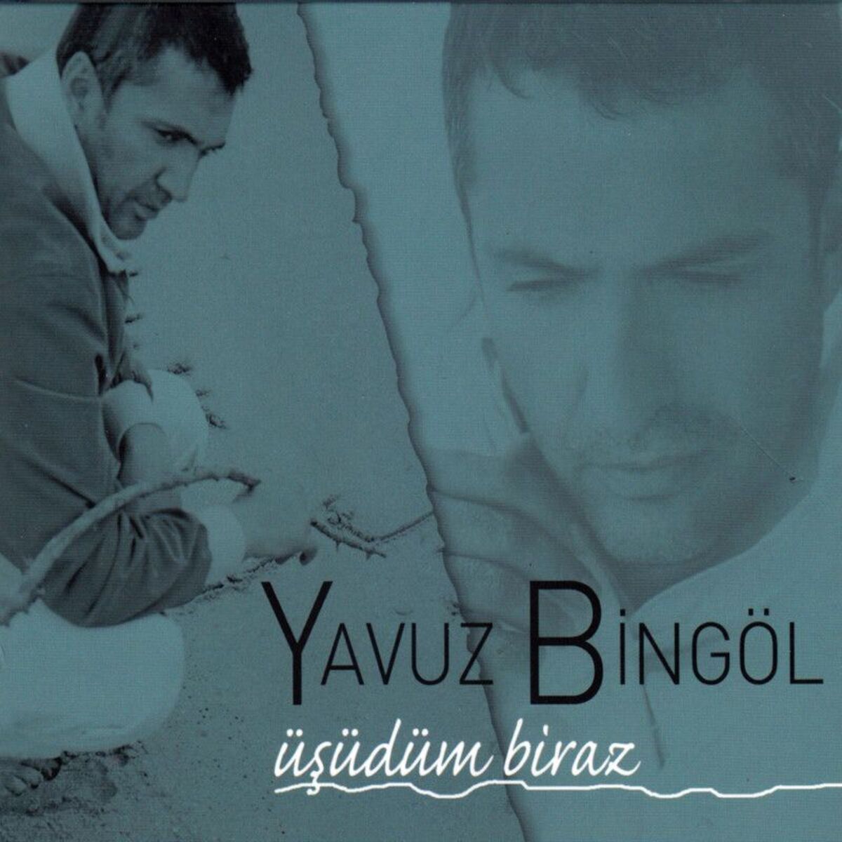 Album cover of Sele Verseydim