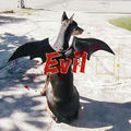 Evil