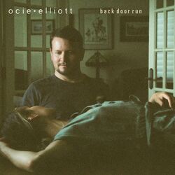 Cover of Back Door Run