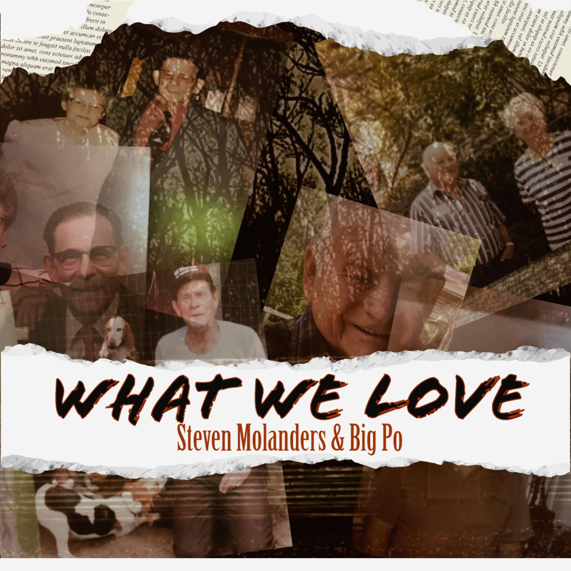 Album cover of What We Love