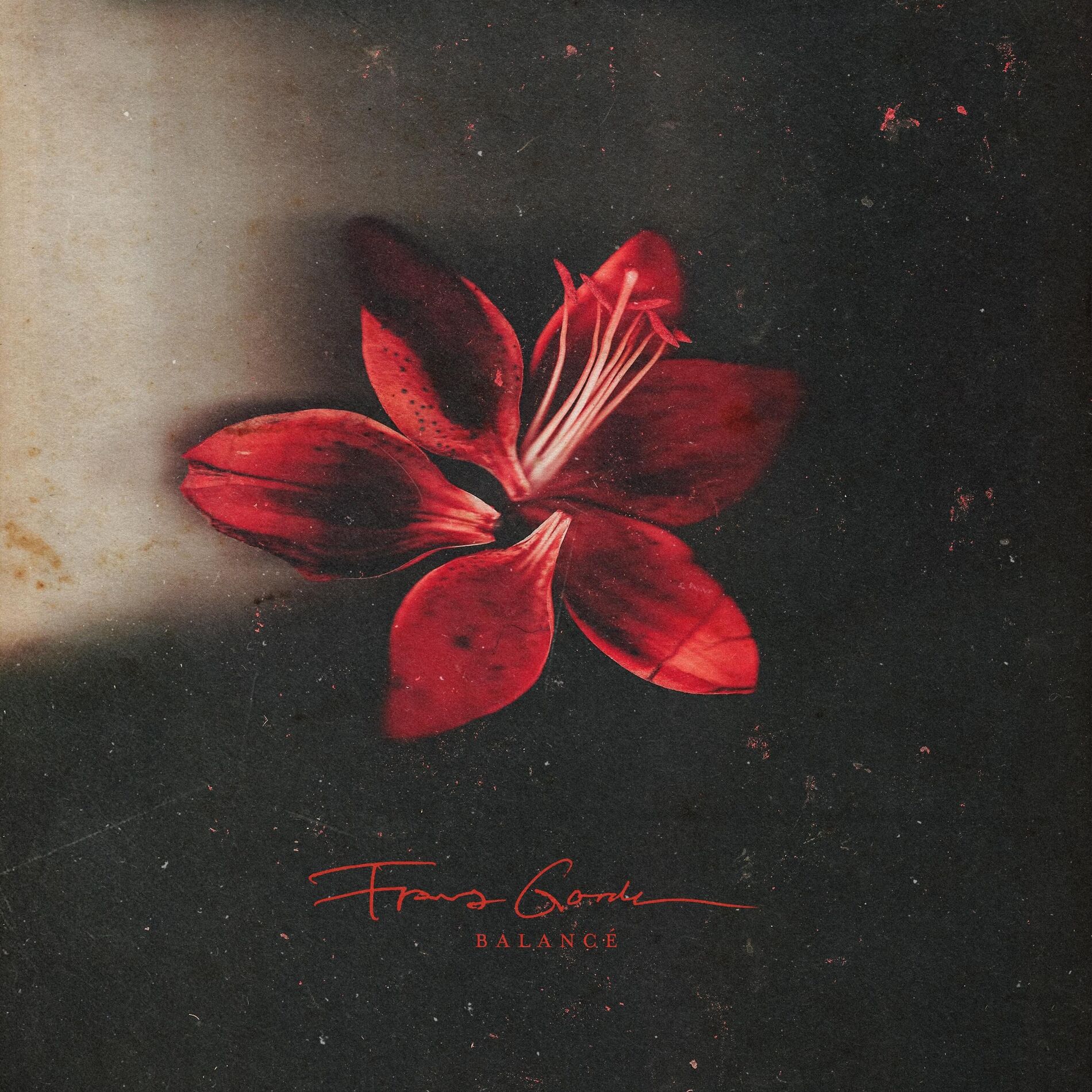 Album cover of Balancé