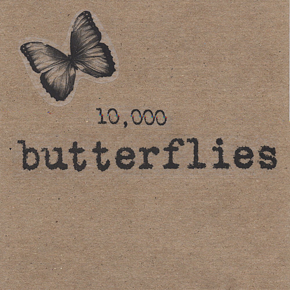 Picture of 10,000 Butterflies