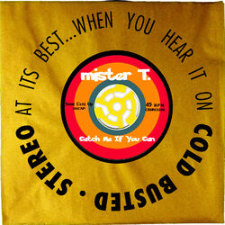 Cover of Catch Me If You Can