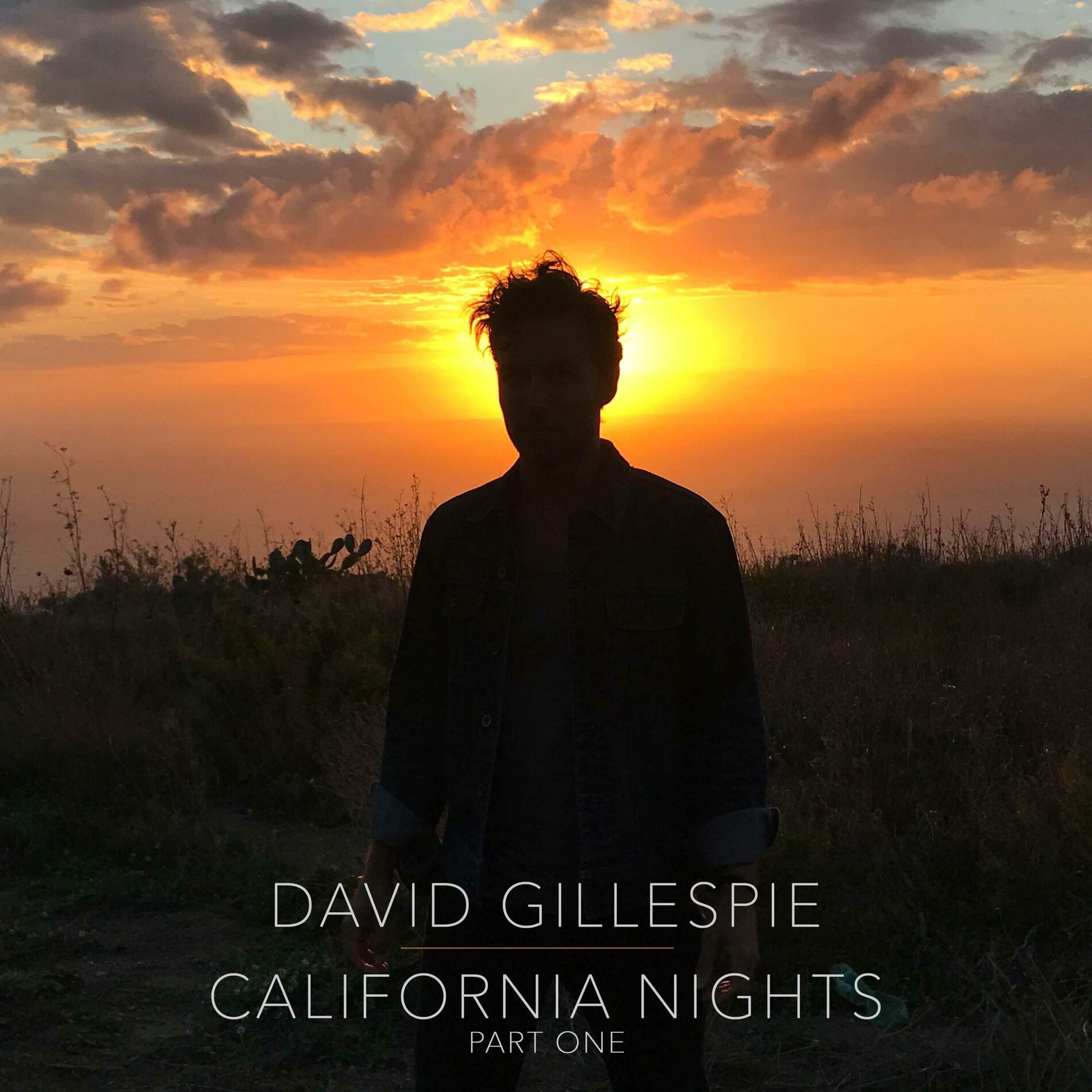 Album cover of California Nights Part One