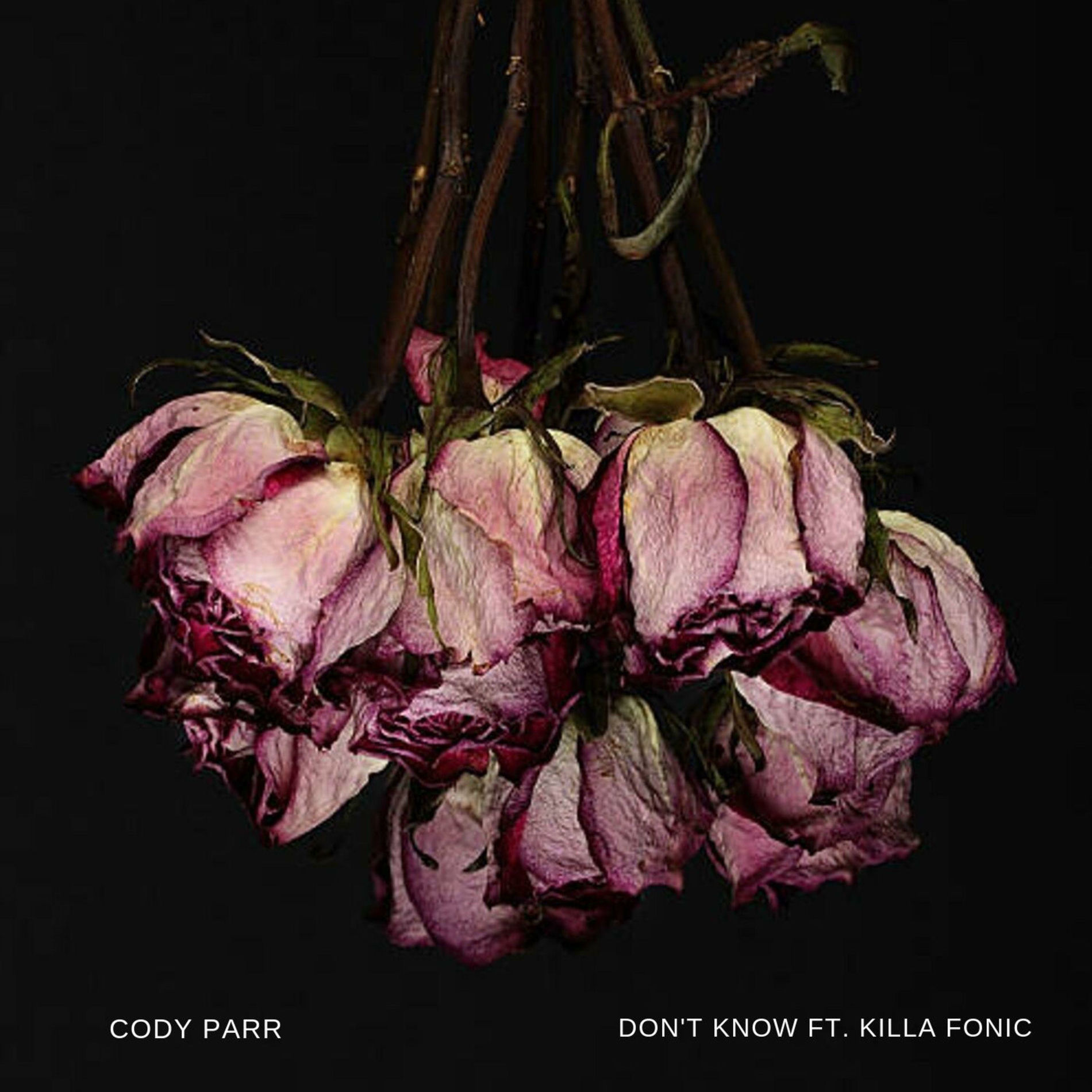Album cover of Don't Know (feat. Killa Fonic)