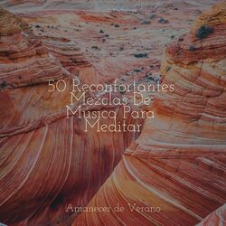 Cover of 50 Reconfortantes Mezclas De Música Para Meditar
