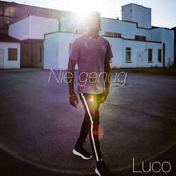 Cover of Nie genug