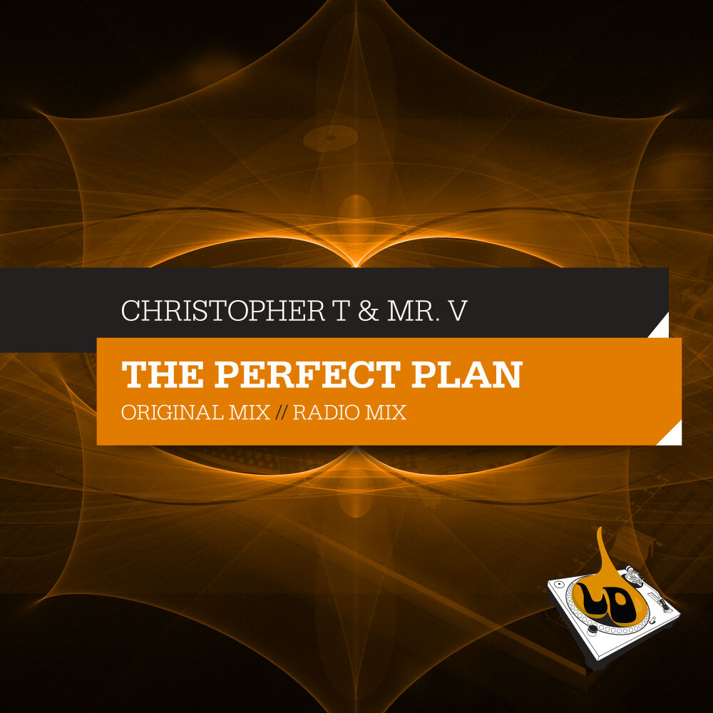 Picture of The Perfect Plan