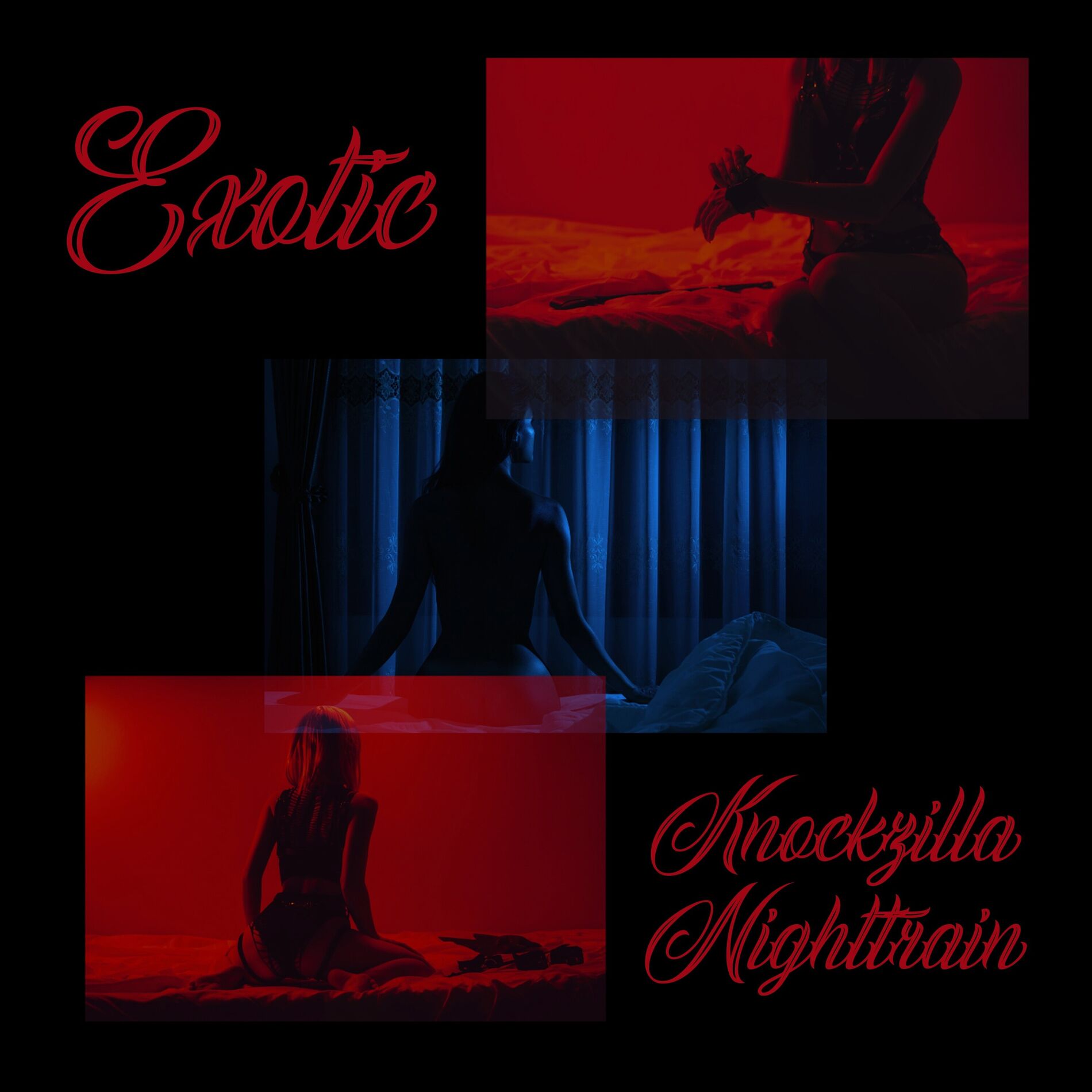 Album cover of Exotic