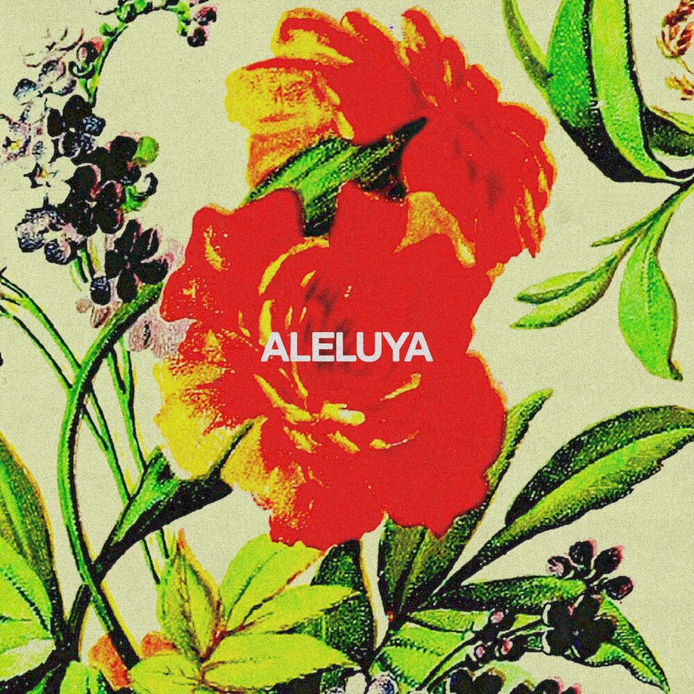 Picture of Aleluya (feat. Aaron Moses & Laila Olivera)