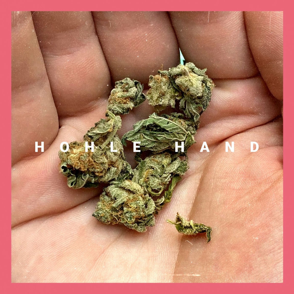 Album cover of Hohle Hand