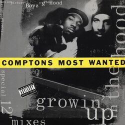 Cover of Growin' Up In the Hood
