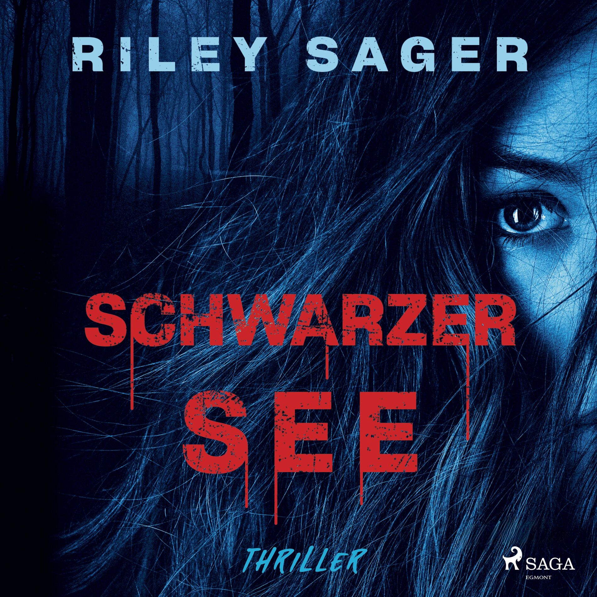 Album cover of Schwarzer See (Thriller)