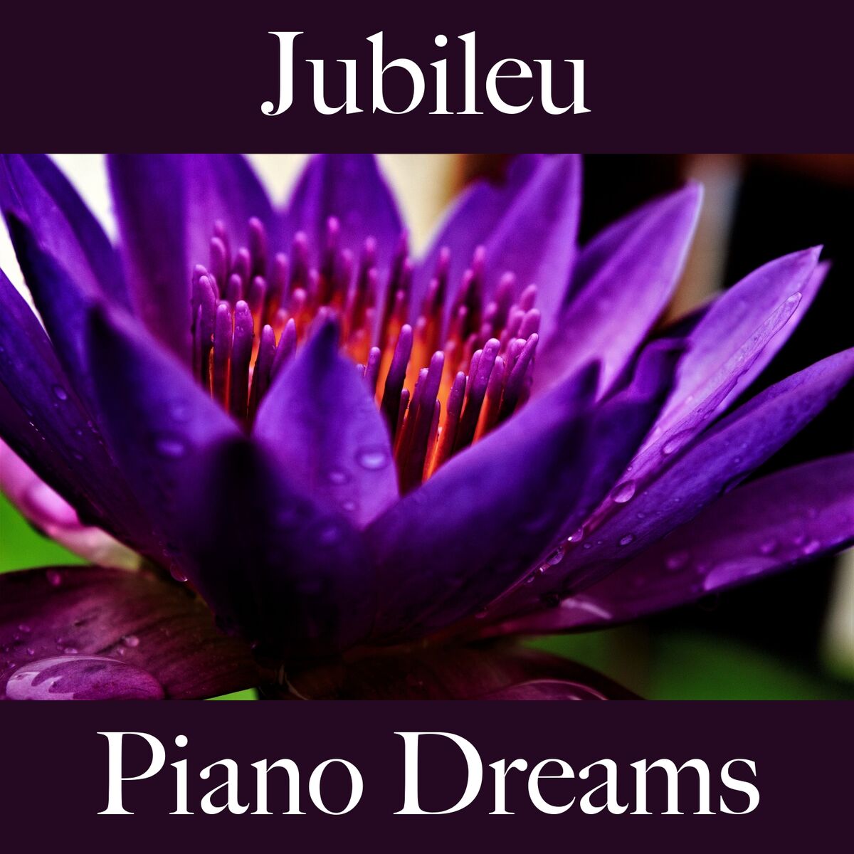 Album cover of Jubileu: Piano Dreams - Os Melhores Sons Para Festejar