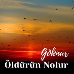 Cover of Öldürün Nolur